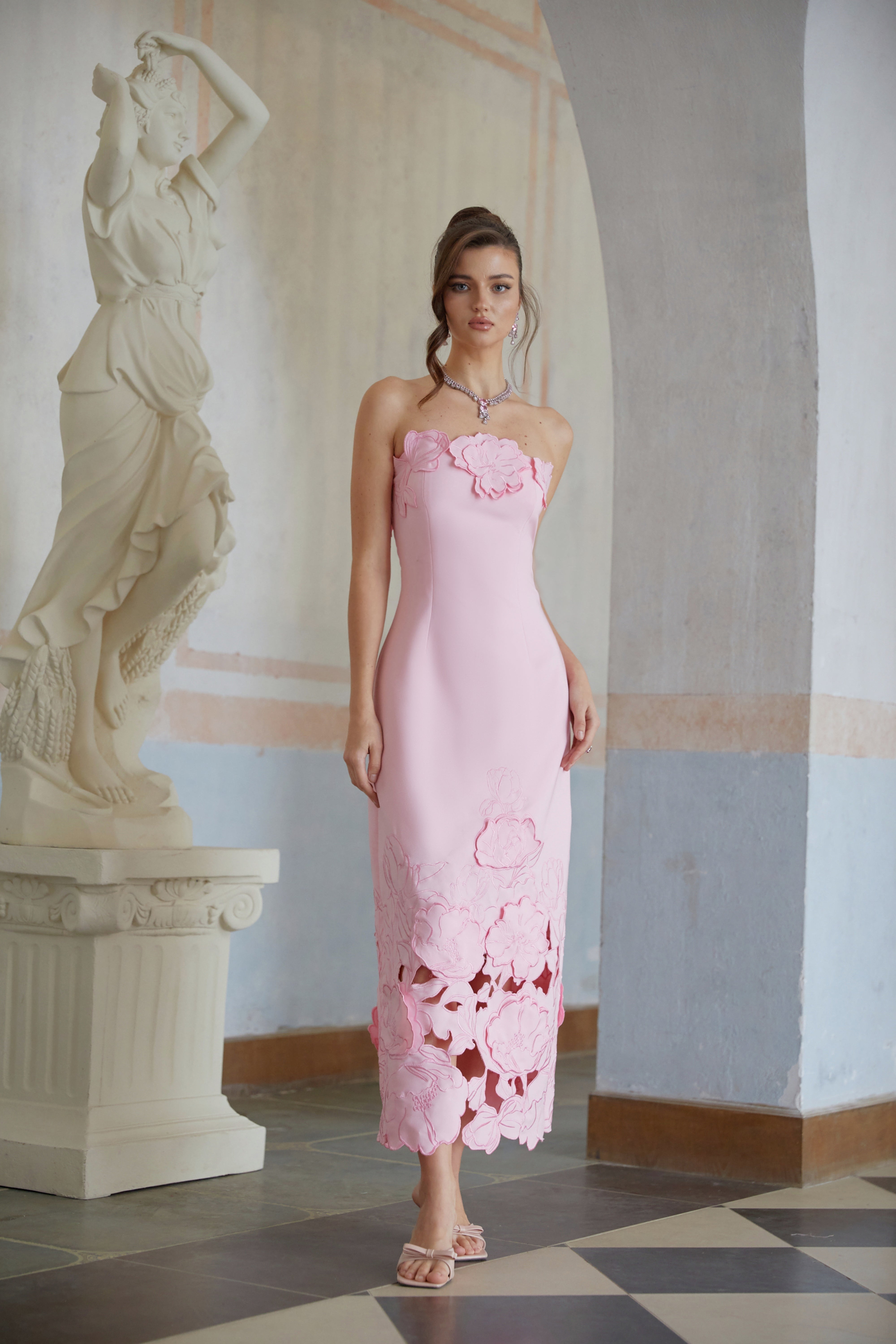 Inga Pink Strapless Floral Embroidered Maxi Dress – Miss Rosier