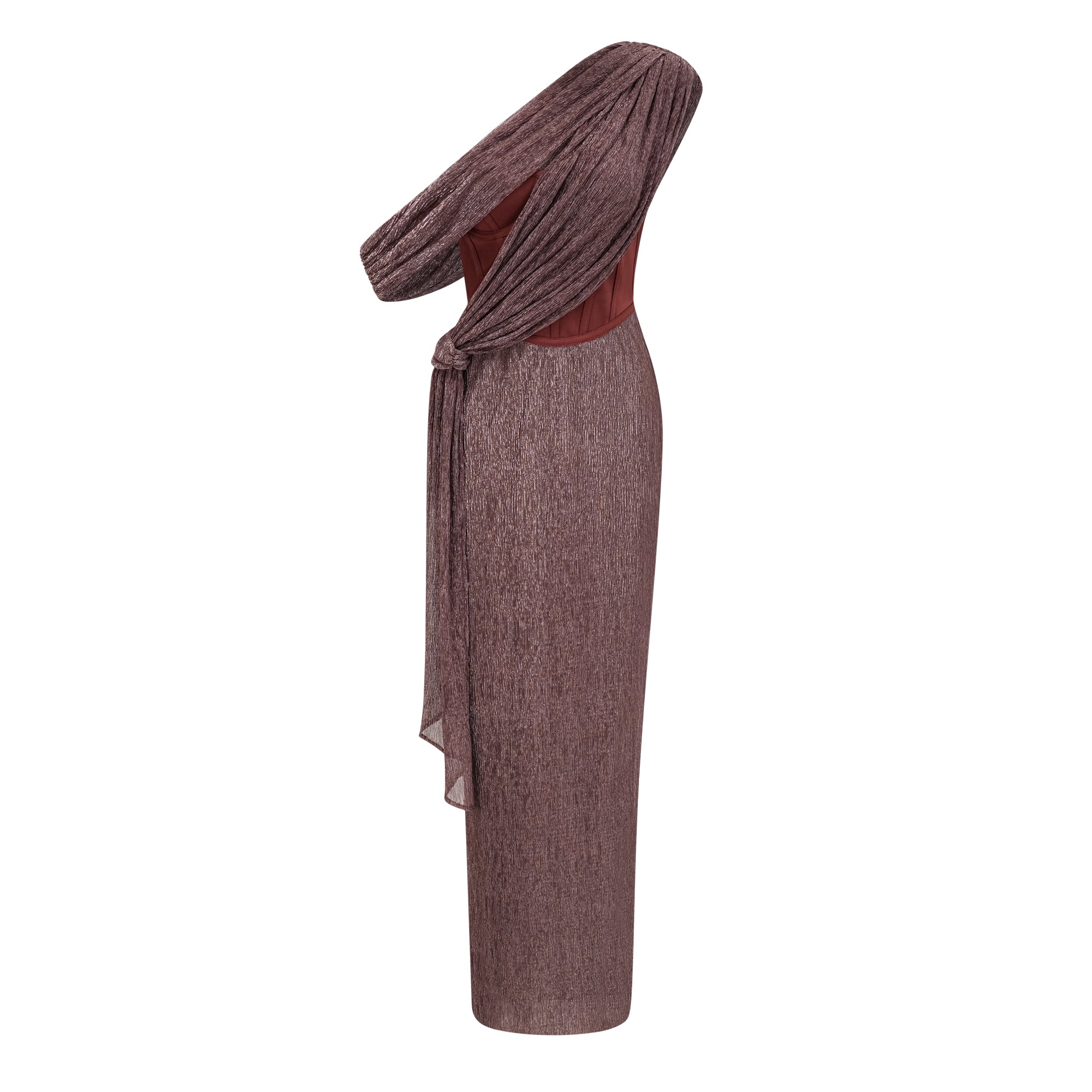 Delphine Ribbon-Design Corset Maxi Dress in Brown